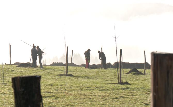 Des arbres plantés à Stoumont grâce à des entreprises