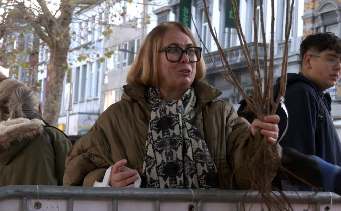 Journée de l'Arbre : 570 plants distribués gratuitement aux Verviétois