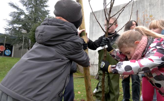 Les élèves de l'Athénée royal de Malmedy plantent un verger