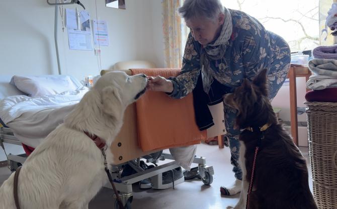 Stavelot: réconfort canin à la Résidence Ferdinand Nicolay