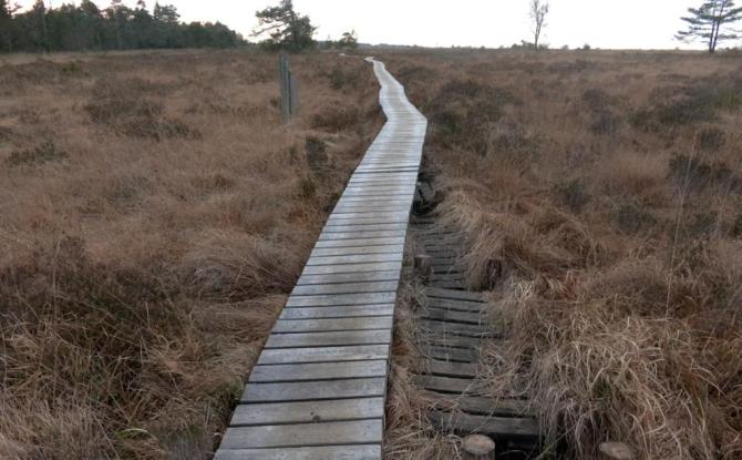 Vandalisme en Fagne de Malchamps : 20 mètres de caillebotis à réparer, mais les auteurs toujours en fuite