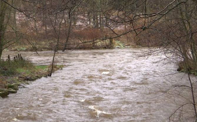 Pré-alerte crue : Vesdre et Our sous surveillance après de fortes pluies