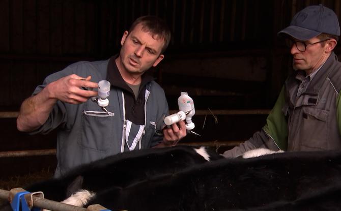 Pénurie de vétérinaires ruraux : une profession essentielle en quête de relève