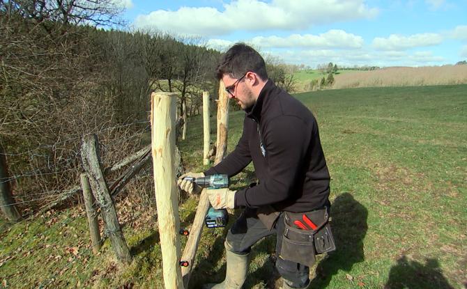 Bullange: des clôtures pour protéger les troupeaux du loup