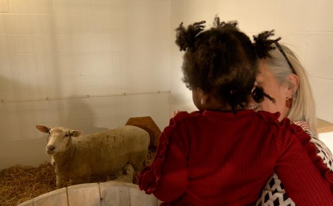 Baelen: une nouvelle ferme pédagogique pour les enfants du Home Saint-François