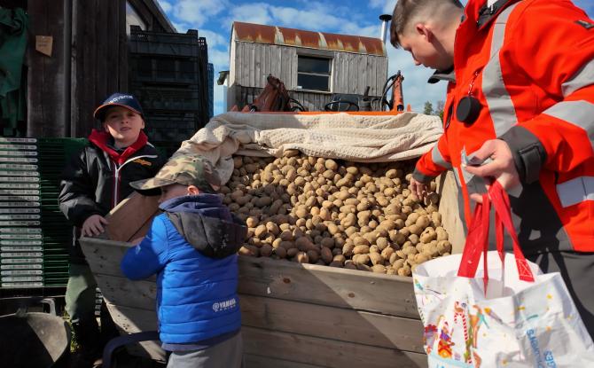 Donner ses pommes de terre pour ne pas les jeter