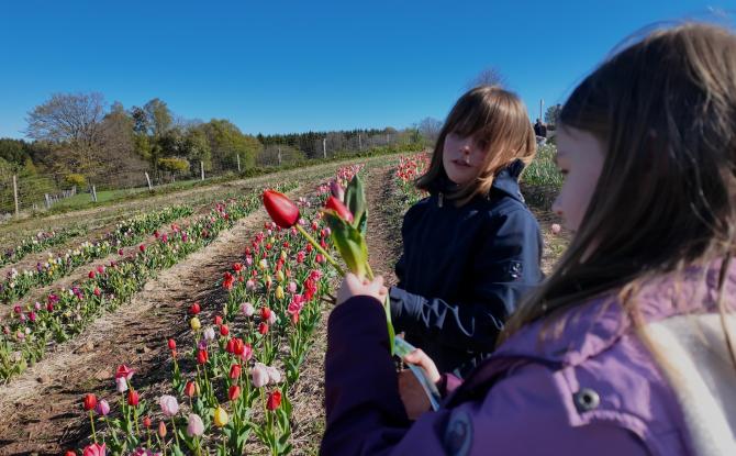 Xhoffraix: les élèves en visite très fleurie aux Cultures du Raideu