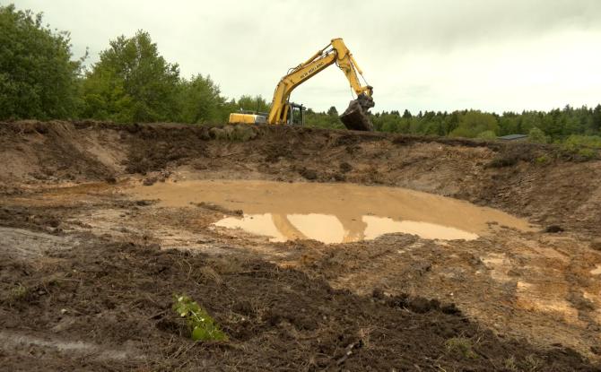 Bronromme: la nature en reconstruction