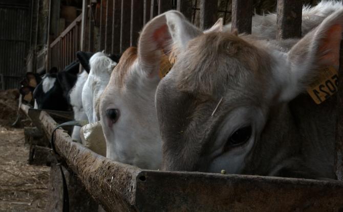 Les agriculteurs en colère contre la pub Gaia