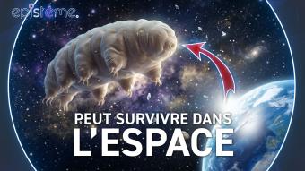 Epistème - La Résistance Incroyable du Tardigrade