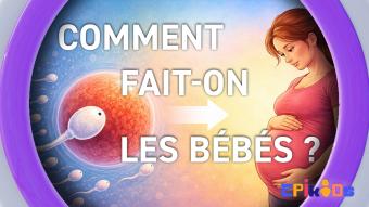 Epikids : La grossesse