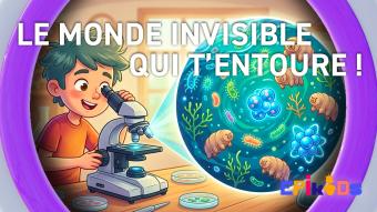 Epikids : Les records XXS